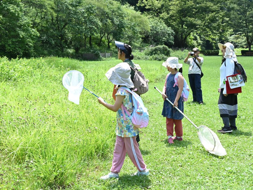 「夏のチョウをさがそう！」/都立小峰公園（東京都/あきる野市）