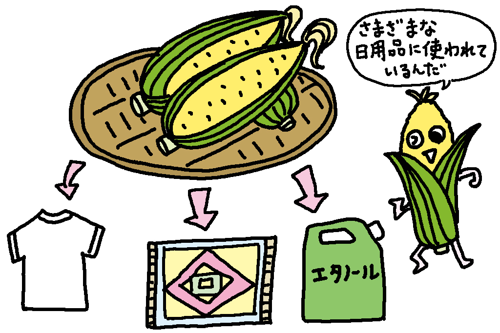トウモロコシの幅広い活用法/山梨県の特産品「とうもろこし」
