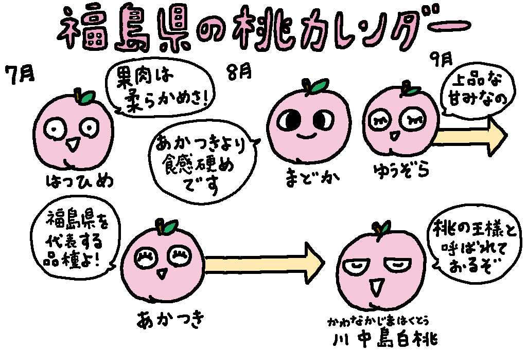福島県の桃カレンダー/福島県の特産品「桃」