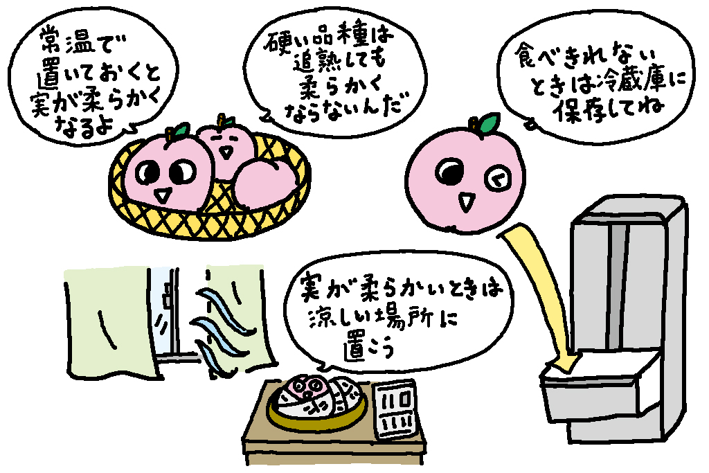 桃の保存方法/福島県の特産品「桃」