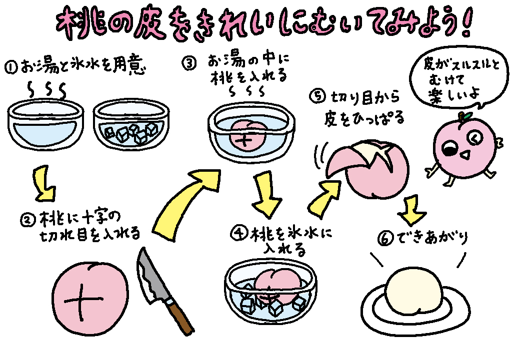 桃の皮をきれいにむいてみよう！/福島県の特産品「桃」