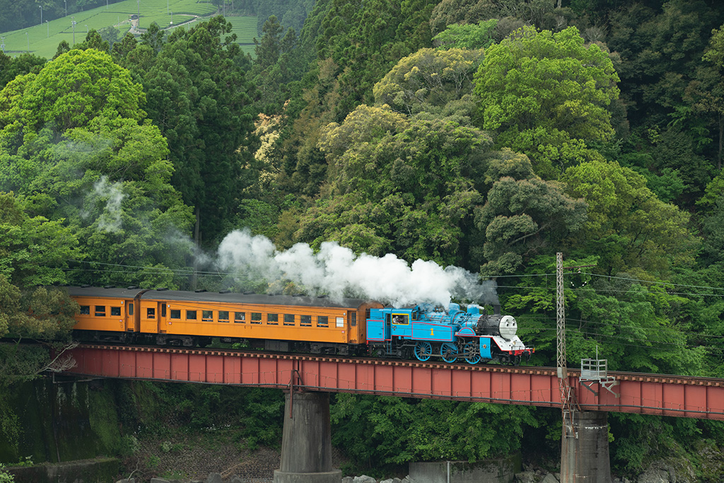 きかんしゃトーマス号（大井川鐵道：新金谷～川根温泉笹間渡）