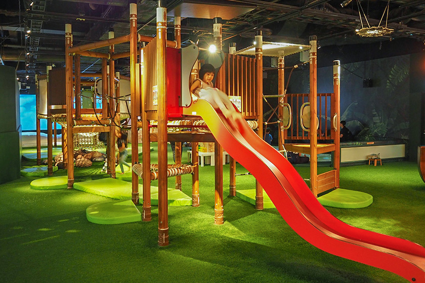 「きのこのツリーデッキ」/屋内・冒険の島 ドコドコ（東京都/立川市）