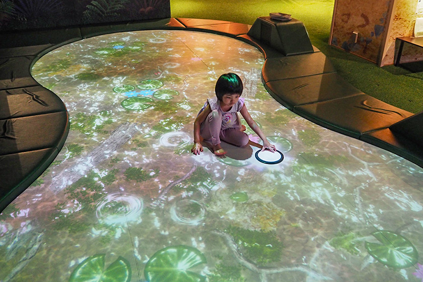 「ケロケロ池」/屋内・冒険の島 ドコドコ（東京都/立川市）