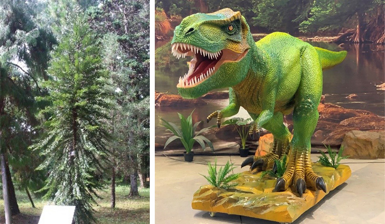 恐竜時代の植物展（京都府/京都市）