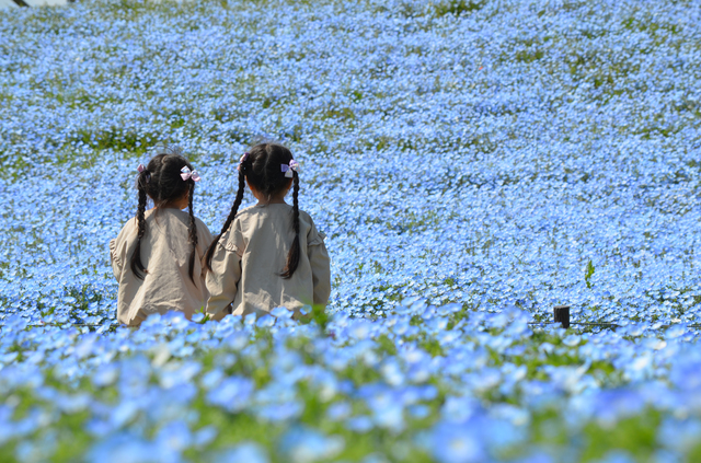 DAISO おそろいコーデ