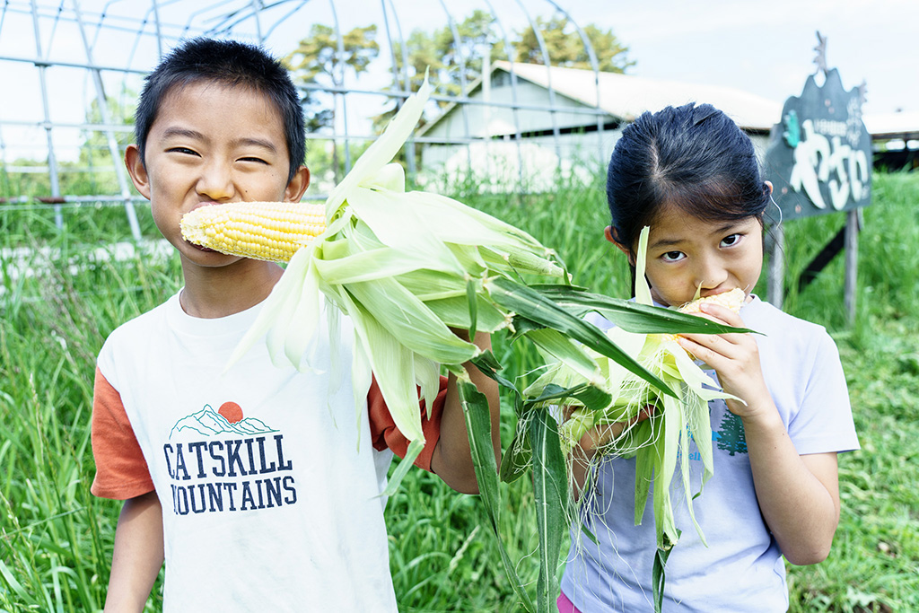 トウモロコシを食べる様子/八ヶ岳農業大学校 体験ワークショップ（長野県/原村）