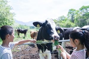 長野・八ヶ岳中央農業実践大学校で「農業体験ワークショップ」の一般提供開始　酪農や林業、ジャムづくりなどを親子で体験