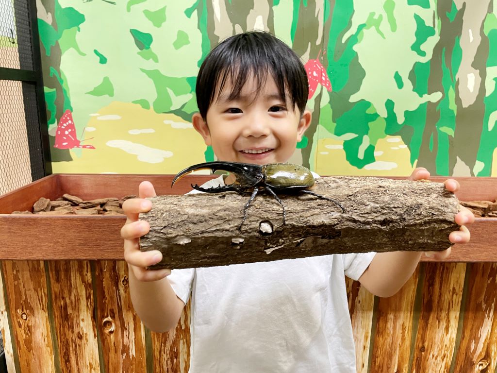 カブト・クワガタふれあいの森2024