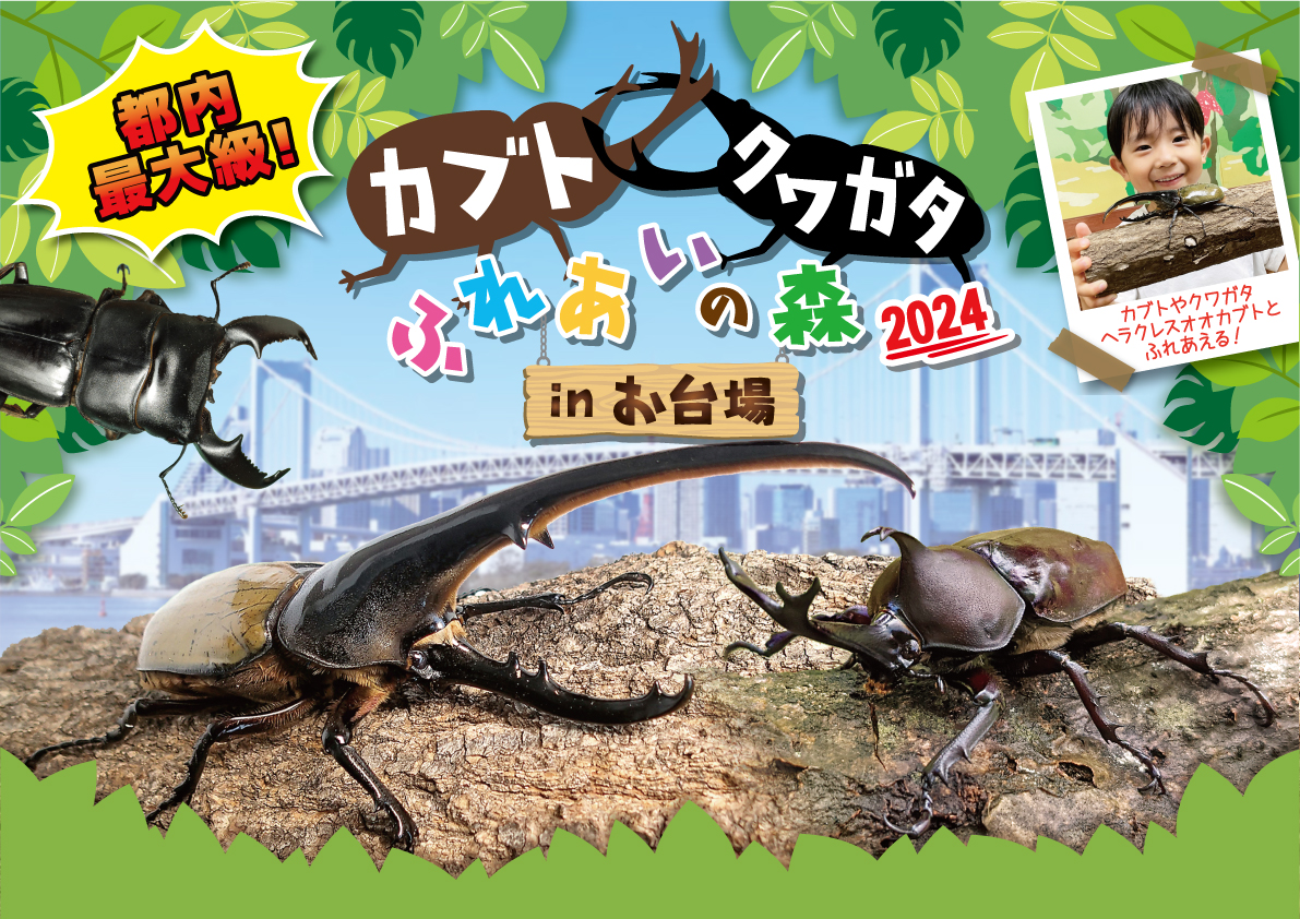 カブト・クワガタふれあいの森2024