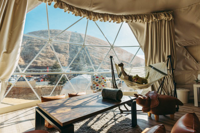 部屋からの眺望/伊豆シャボテンビレッジ プチホテル（静岡県／伊東市）　