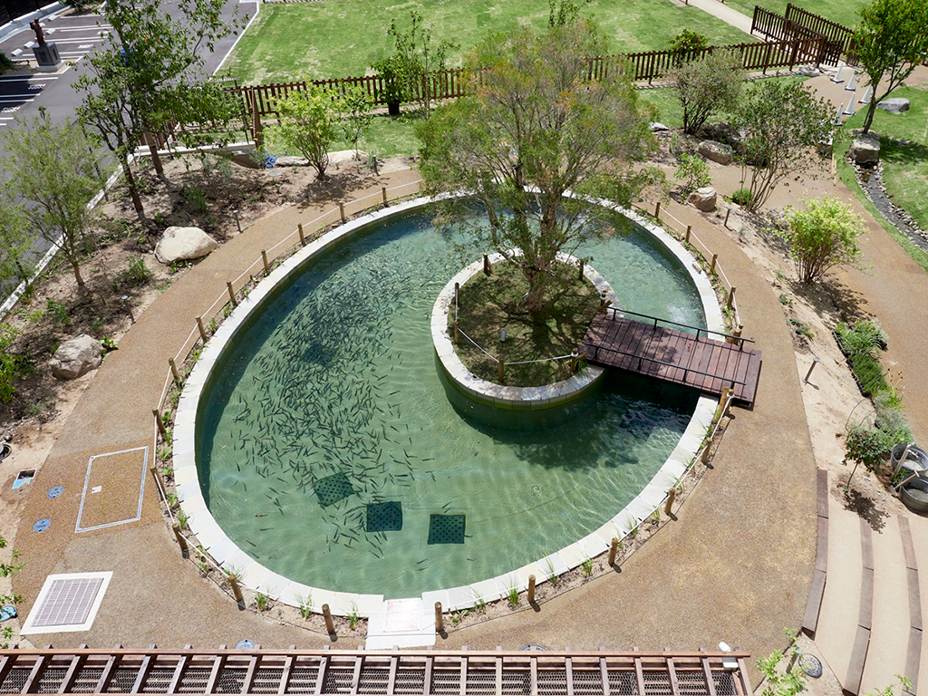 FISH PONDでニジマス釣り/NATURE STUDIO(兵庫県神戸市)