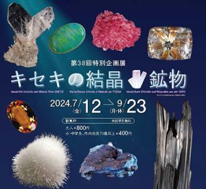 愛知・豊橋市自然史博物館で「キセキの結晶☆鉱物」開催 ライトを手に暗闇の中を探検して美しい鉱石を観察