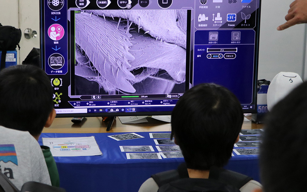 青少年のための科学の祭典2024全国大会(東京都/千代田区)