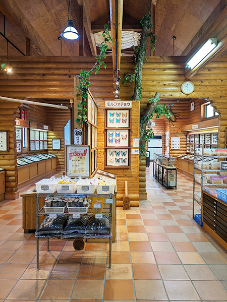 朝比奈 龍勢・昆虫館(静岡県/藤枝市)