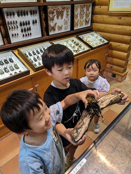朝比奈 龍勢・昆虫館(静岡県/藤枝市)