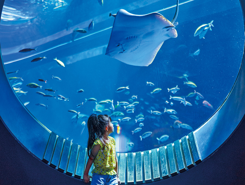 「うちなー大水槽」/DMMかりゆし水族館（沖縄県／豊見城市）