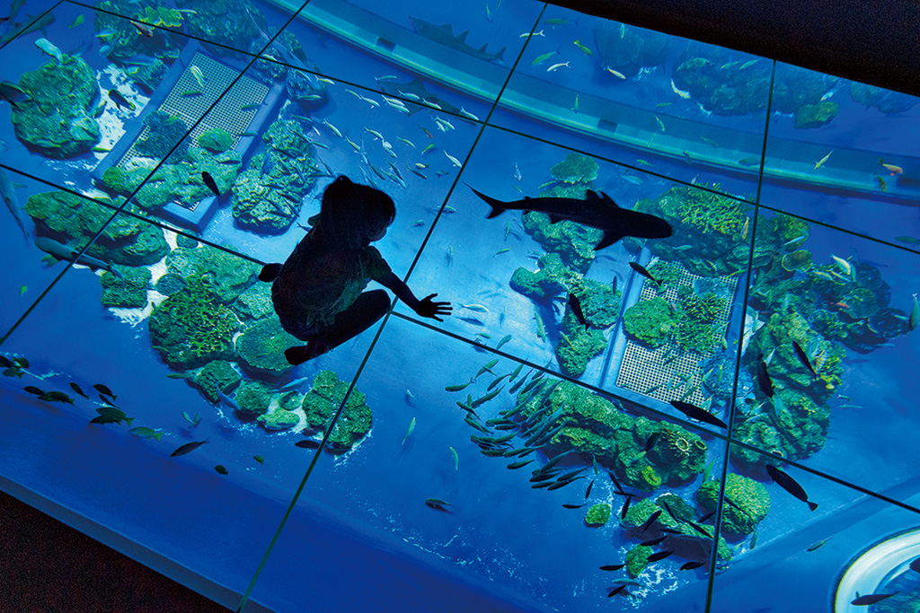 2階の「ちゅらみなも」エリア/DMMかりゆし水族館（沖縄県／豊見城市）