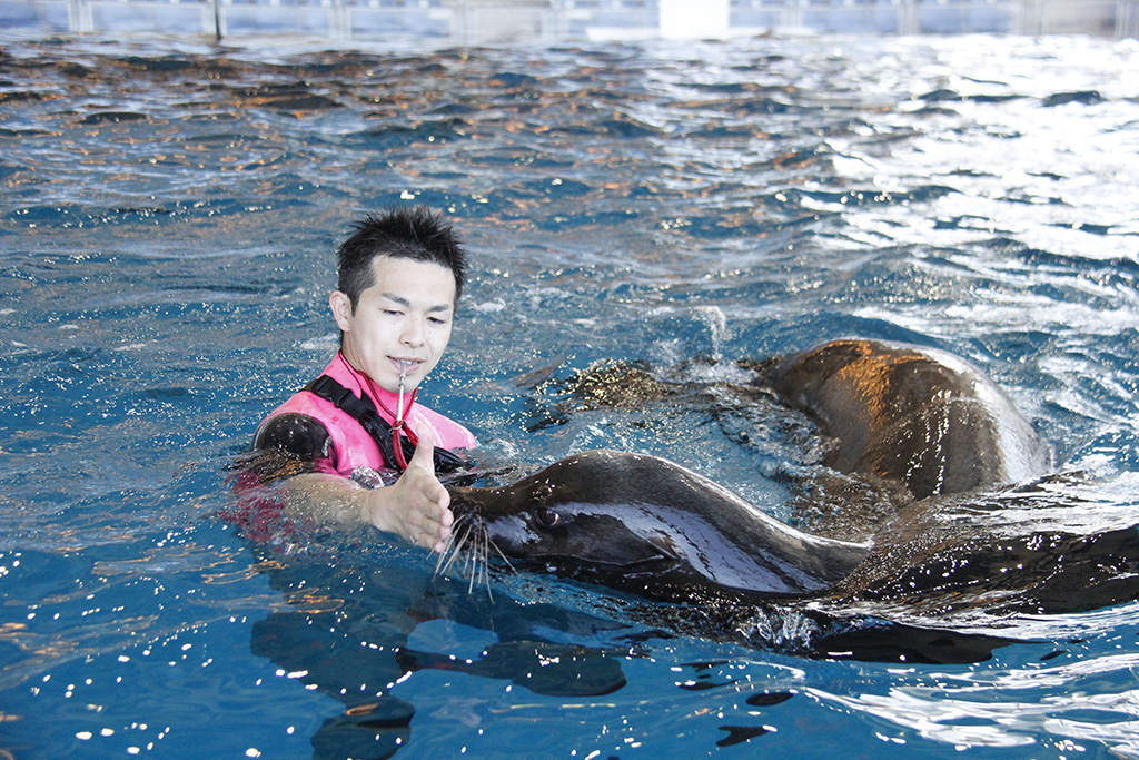 SUMMER AQUAWORLD 2024「Splash!! & Water Fes.!!」/アクアワールド茨城県大洗水族館(茨城県/大洗町)