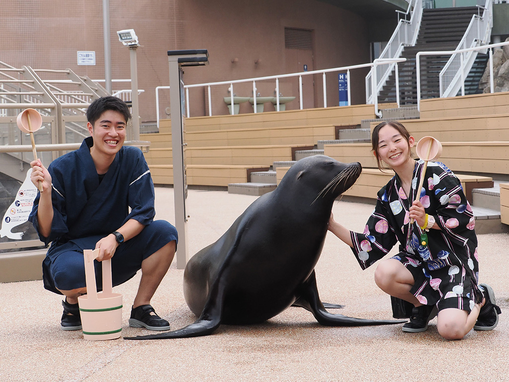 SUMMER AQUAWORLD 2024 アシカのおさんぽタイム 打ち水バージョン「爽涼」/アクアワールド茨城県大洗水族館(茨城県/大洗町)