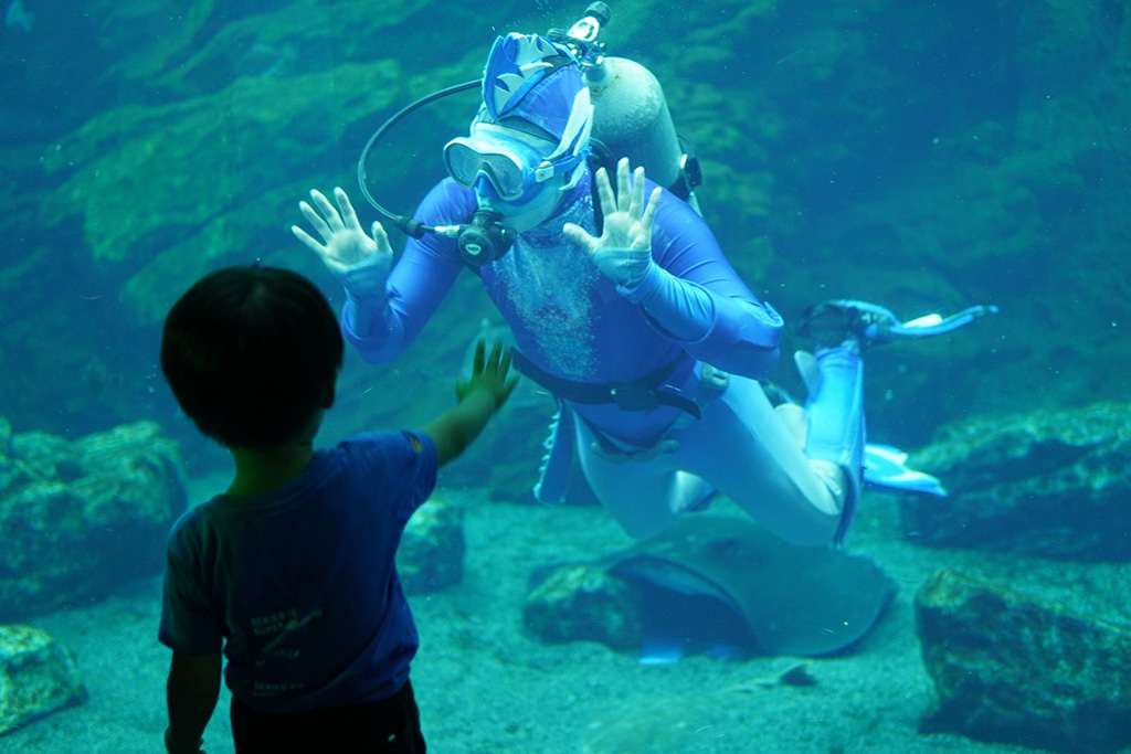 SEARCH FOR SEATOPIA/仙台うみの杜水族館(宮城県/仙台市)