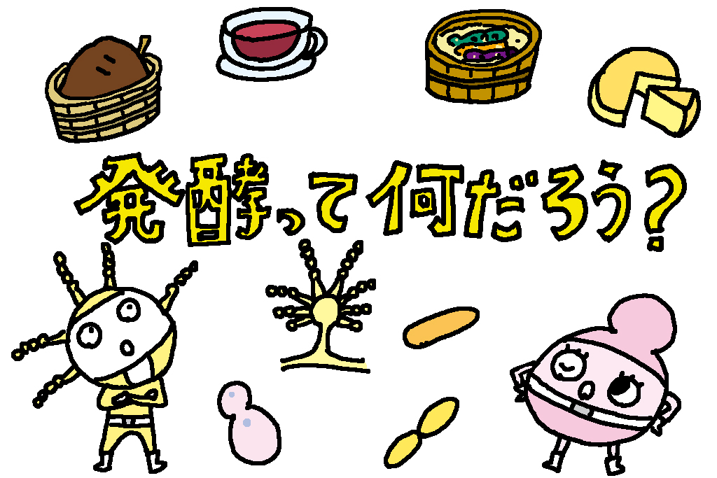 発酵って何だろう？