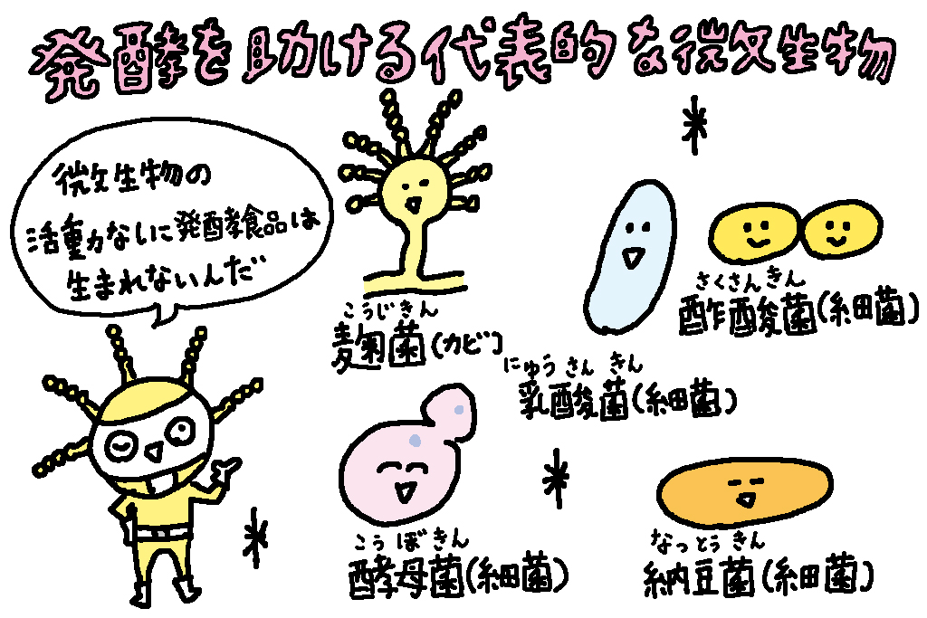 発酵を助ける微生物や細菌