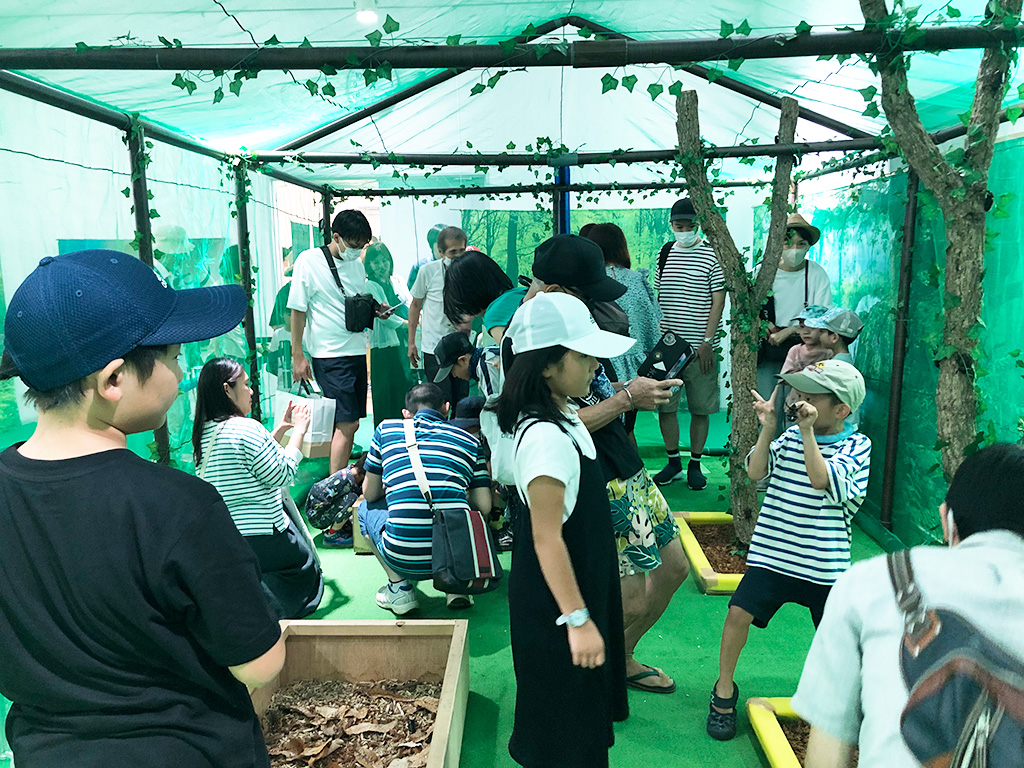 「世界のカブト&クワガタ展」/グランベリーパーク(東京都/町田市)