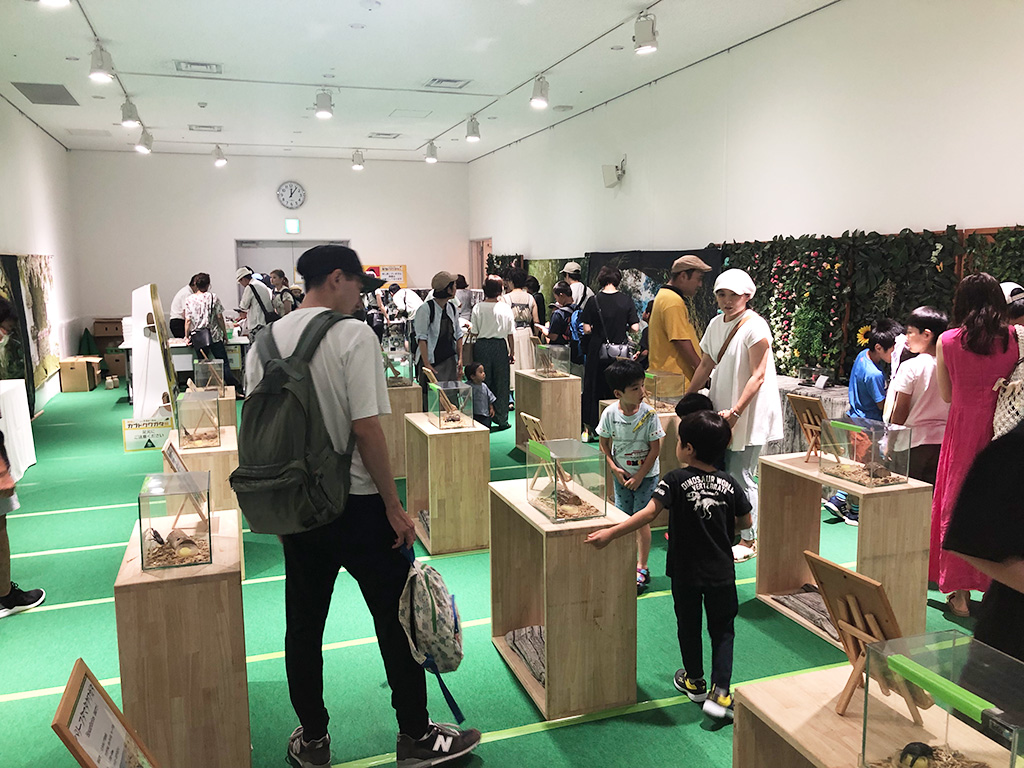 「世界のカブト&クワガタ展」/グランベリーパーク(東京都/町田市)