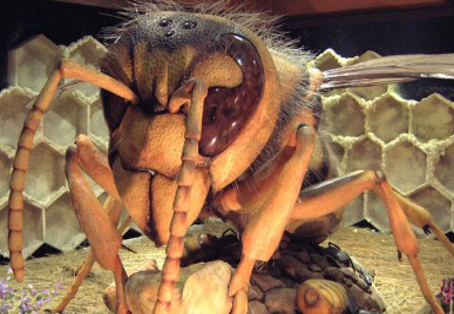 超巨大昆虫ロボット/小学館の図鑑NEO たんけん昆虫フェス（千葉県/千葉市）