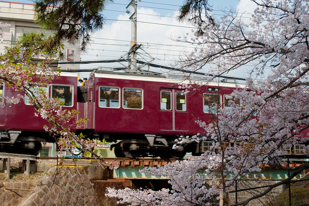 夙川河川敷緑地公園からのトレインビュースポット(兵庫県/西宮市)