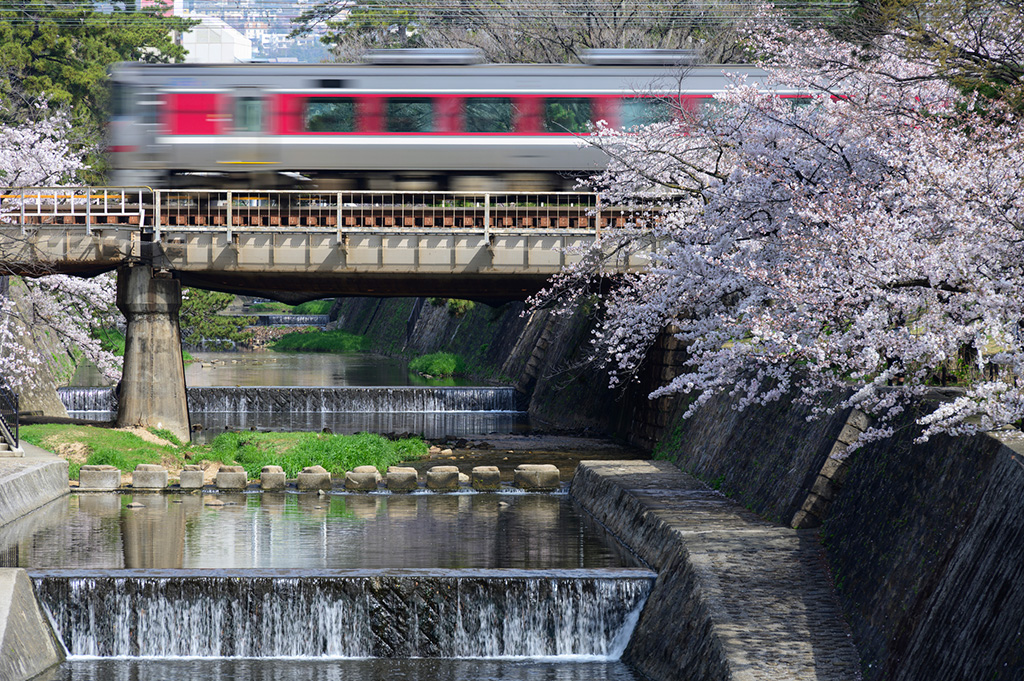 夙川河川敷緑地公園からのトレインビュースポット(兵庫県/西宮市)