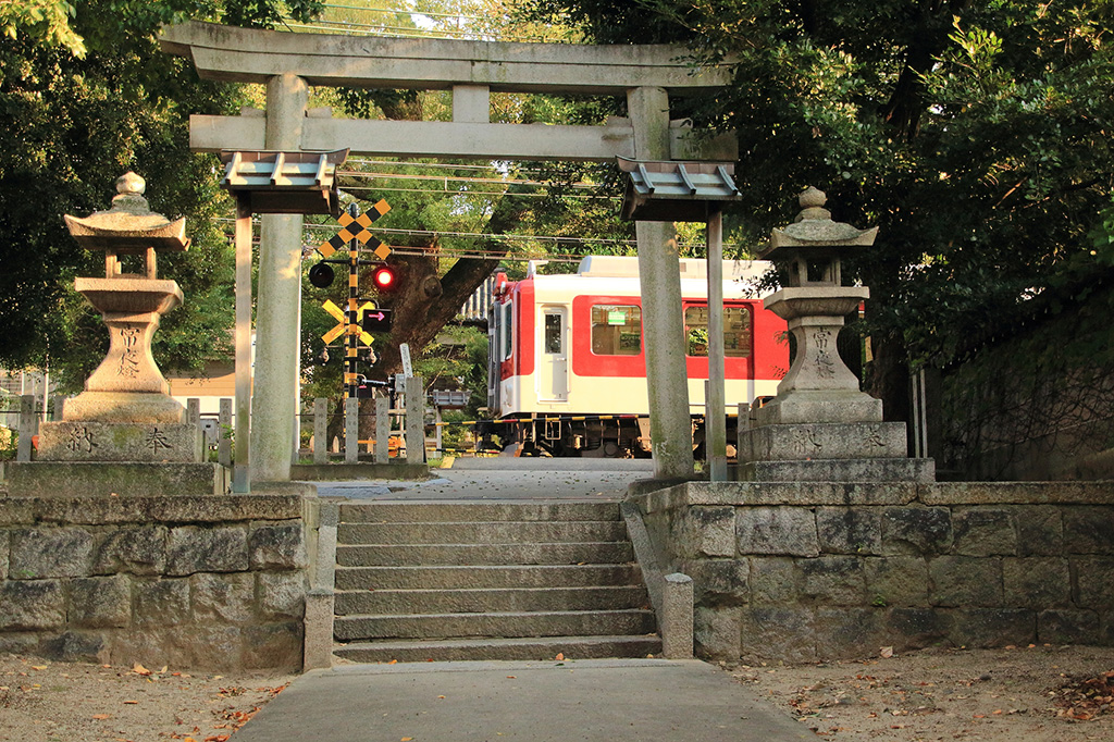 澤田八幡神社からのトレインビュースポット(大阪府/藤井寺市)