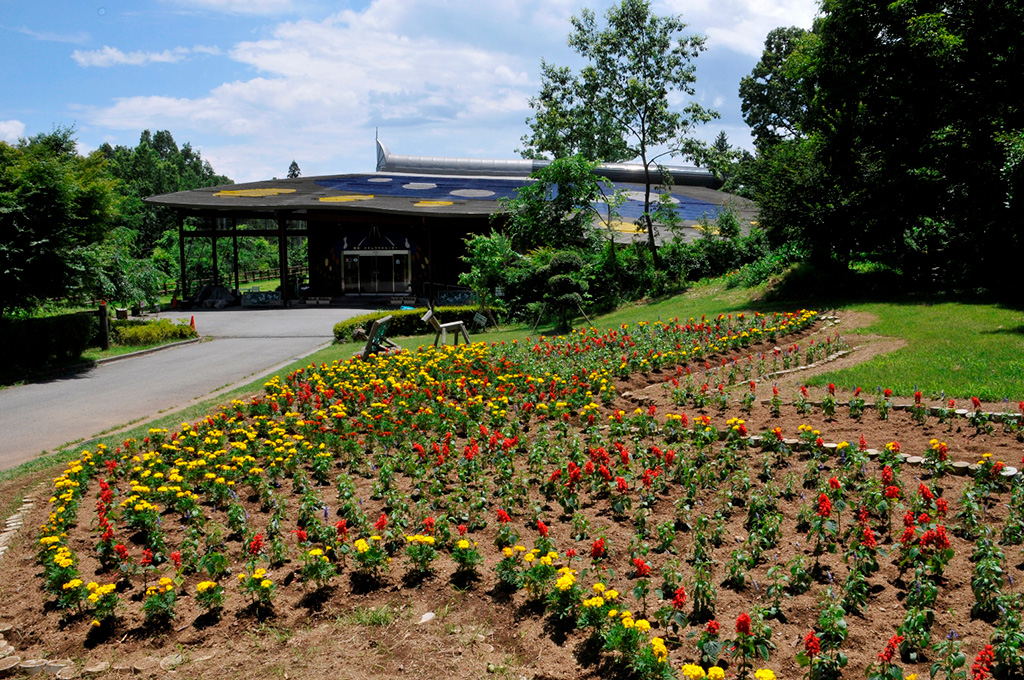 北杜市オオムラサキセンター（山梨県／北杜市）