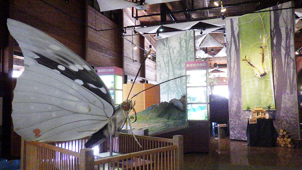 館内/北杜市オオムラサキセンター（山梨県／北杜市）