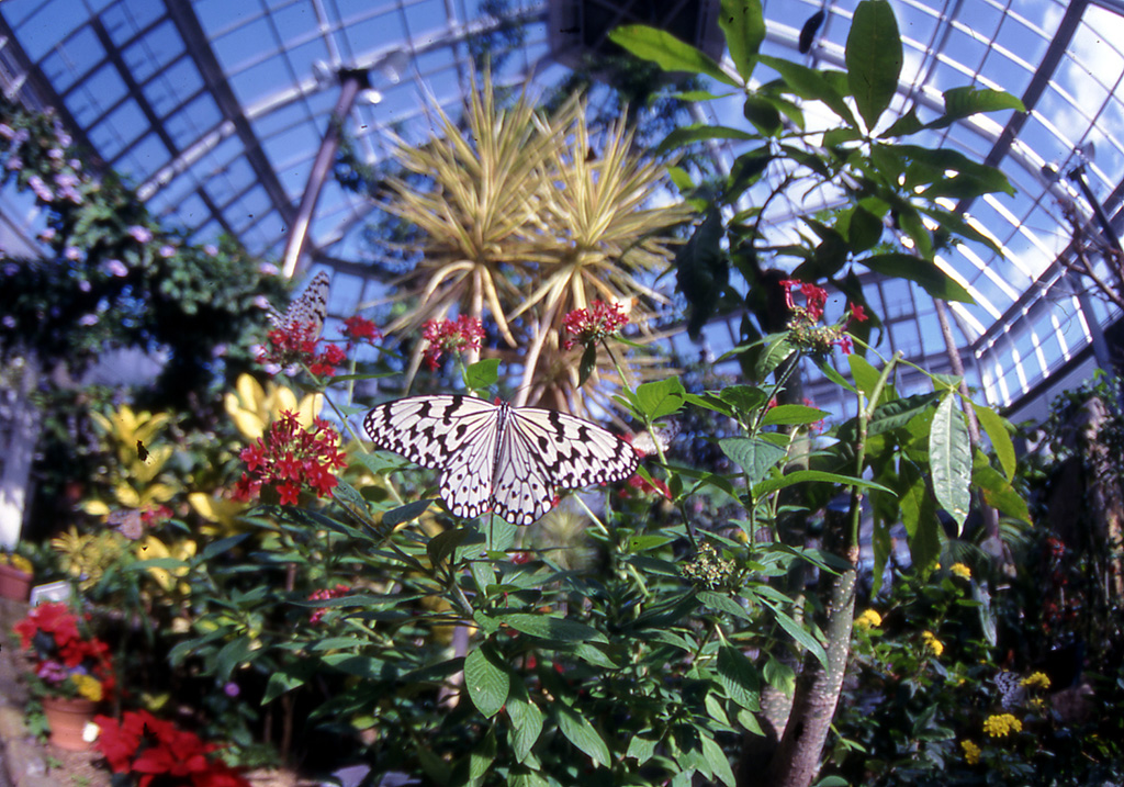 館内/広島市森林公園こんちゅう館(広島県/広島市)