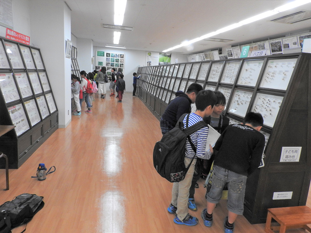 倉敷昆虫館(岡山県/倉敷市)