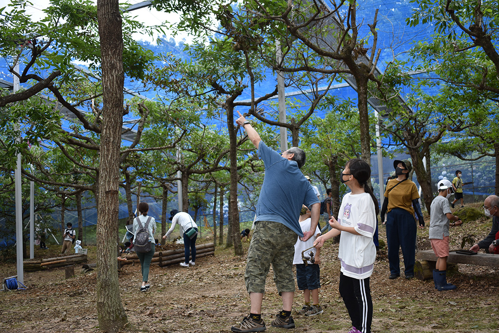 むつみ昆虫王国(山口県/萩市)