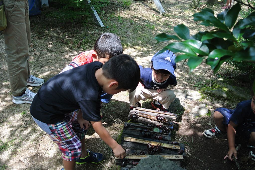 「かぶと虫ドーム」内/むつみ昆虫王国(山口県/萩市)