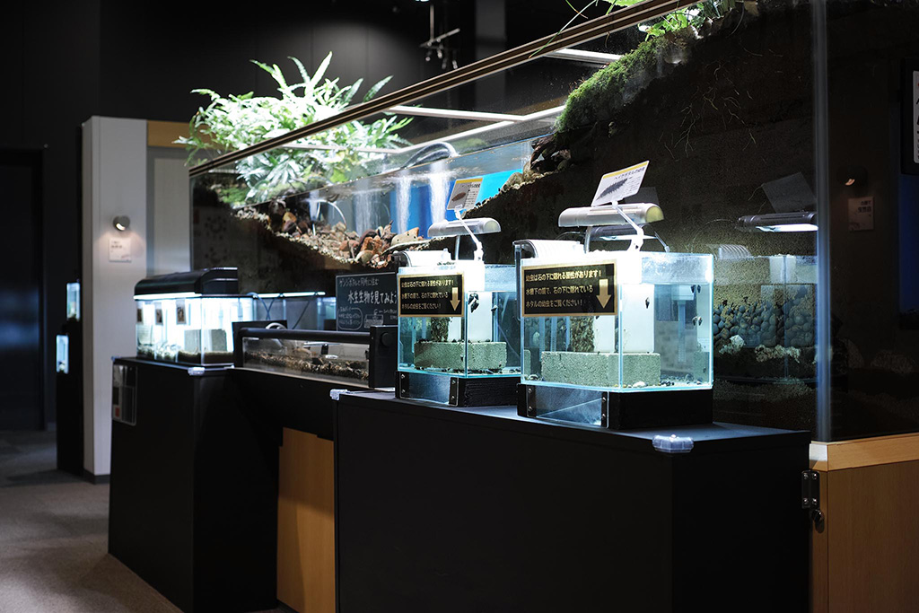 館内/豊田ホタルの里ミュージアム(山口県/下関市)