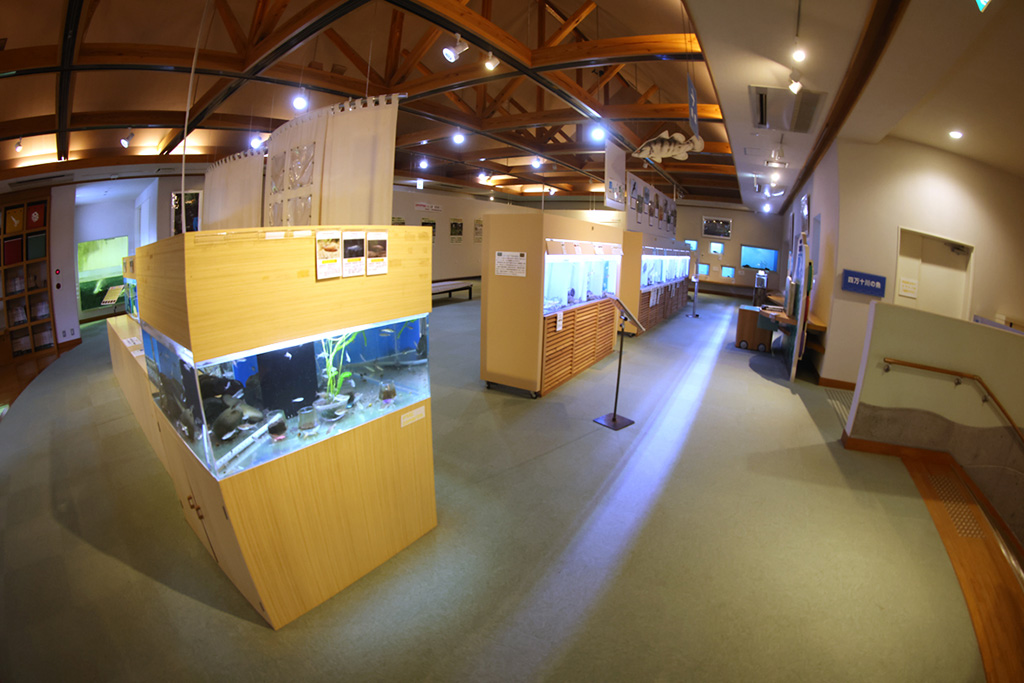 館内/トンボ王国 四万十川学遊館(高知県/四万十市)