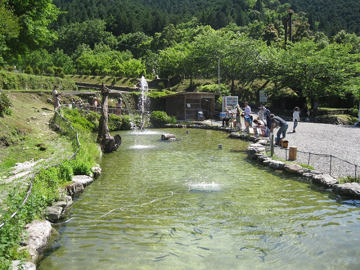 奥伊勢フォレストピア(三重県/大台町)