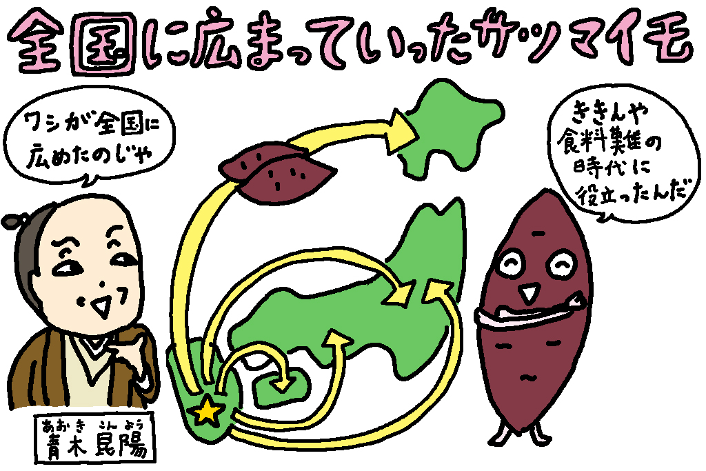 全国に広まっていったサツマイモ│鹿児島県の特産品「さつまいも」