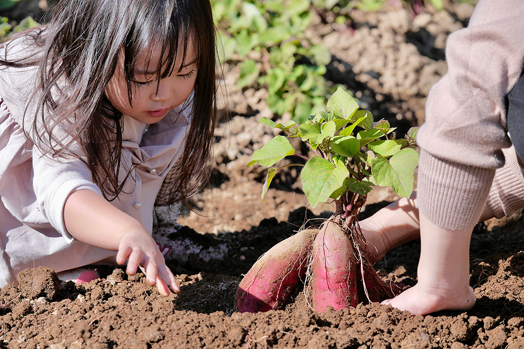 鹿児島市観光農業公園（鹿児島県／鹿児島市）