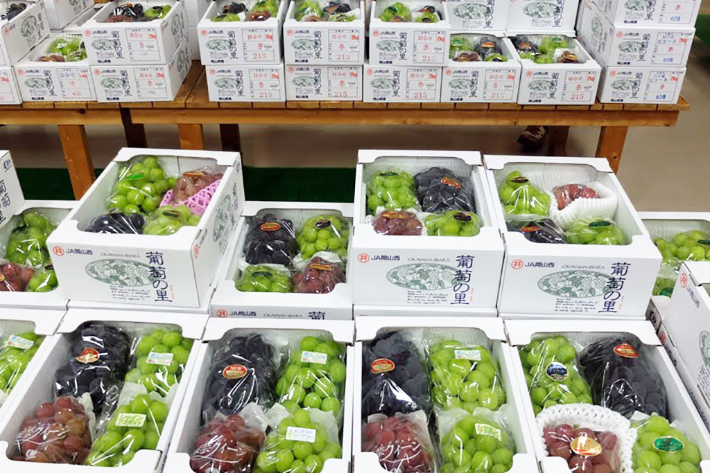 グレープ愛ランド 葡萄浪漫館（岡山県／井原市）