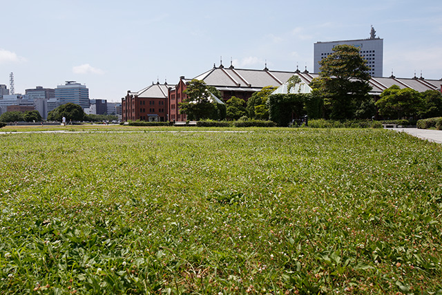 「赤レンガパーク」/横浜赤レンガ倉庫（神奈川県/横浜市）