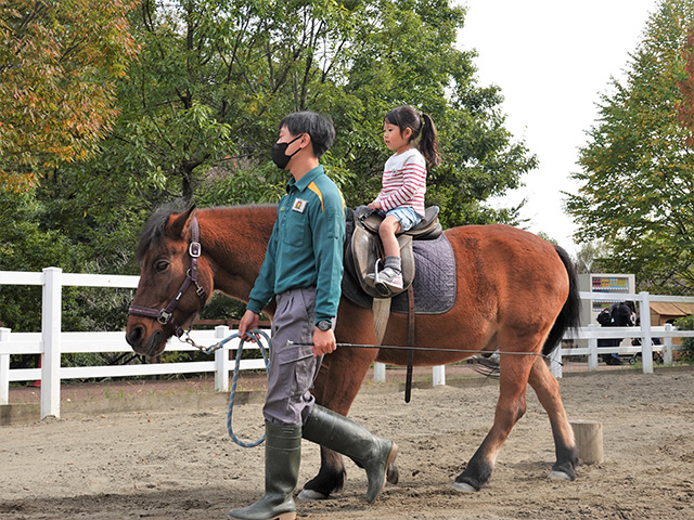 ポニーの乗馬体験/よこはま動物園ズーラシア（神奈川県/横浜市）