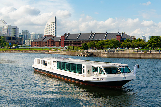 シーバス（神奈川県/横浜市）