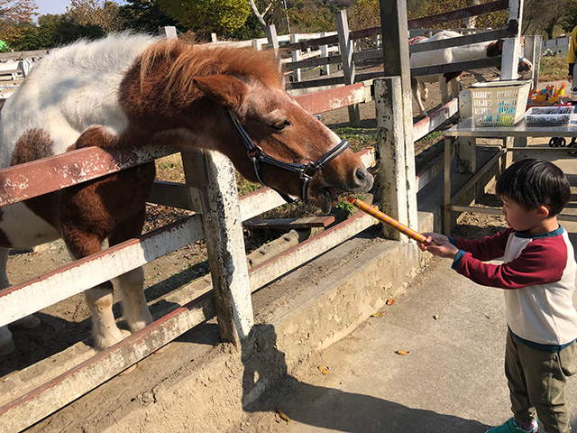 エサやり体験/こどもの国（神奈川県/横浜市）