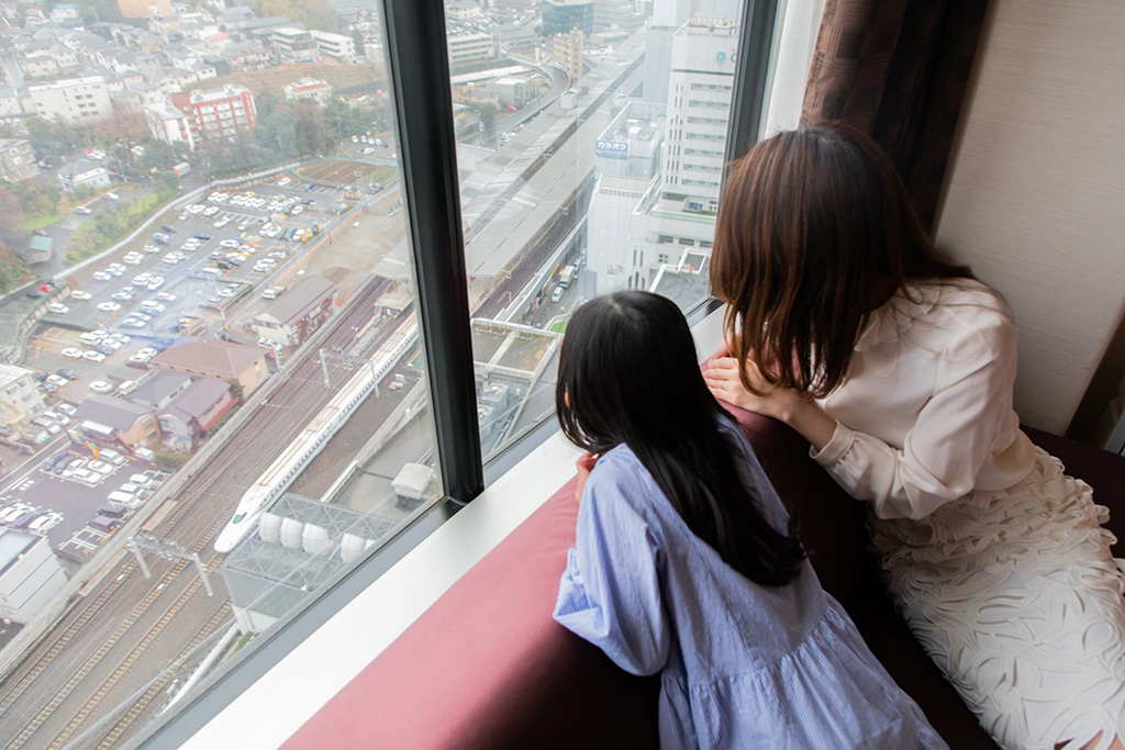 客室からの眺望/新横浜プリンスホテル（神奈川県/横浜市）